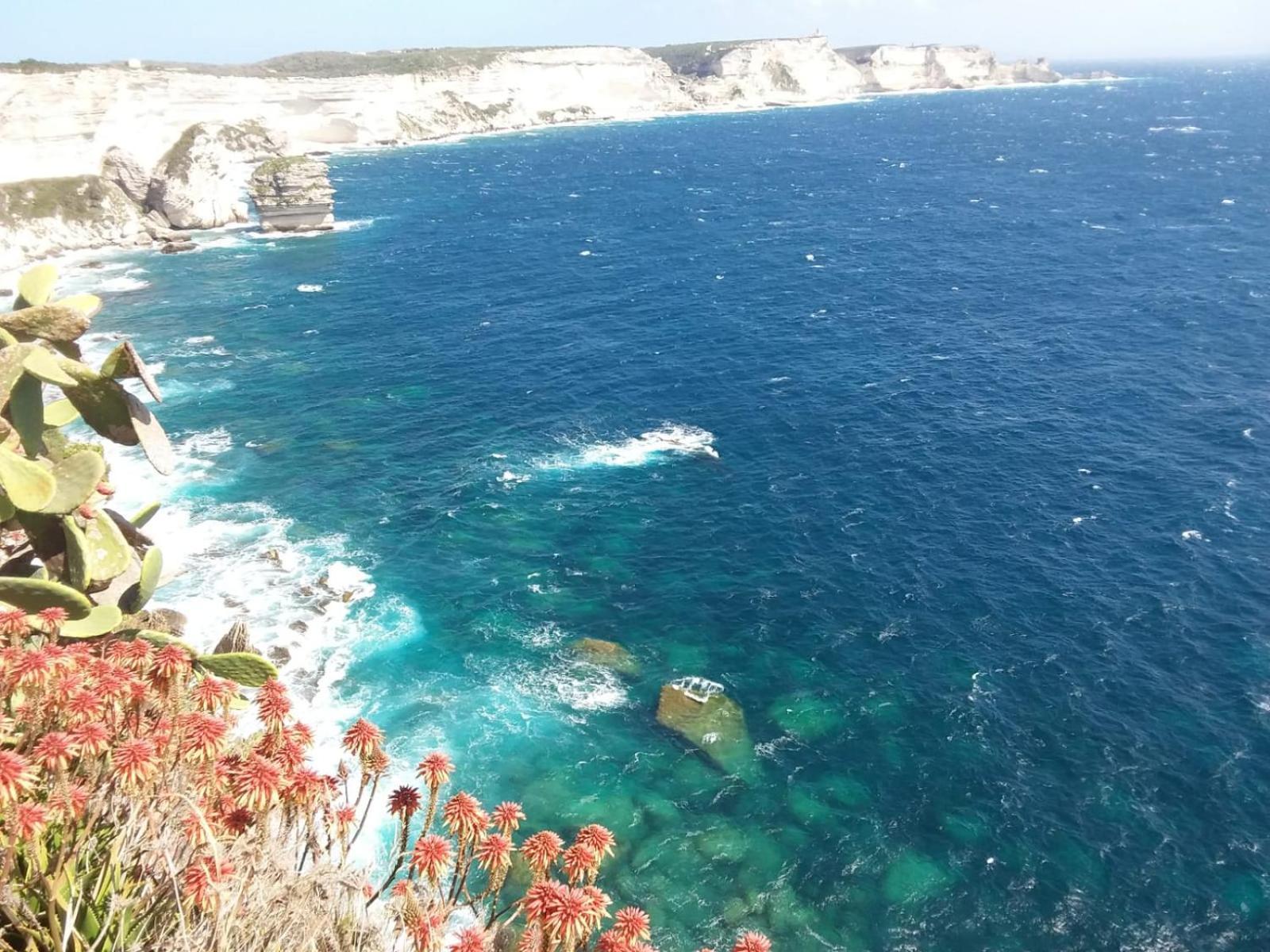 Villa Acqua Doria コティ・シアヴァーリ エクステリア 写真